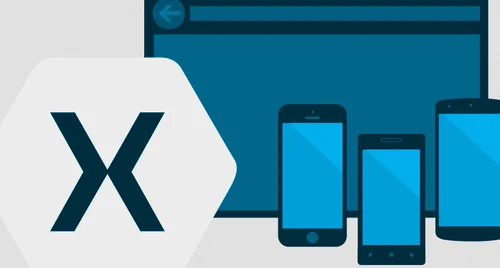 Native API Binding Control